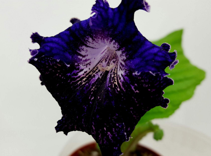 image13.jpg