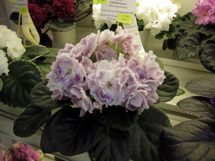 РМ-Фаберже.jpg