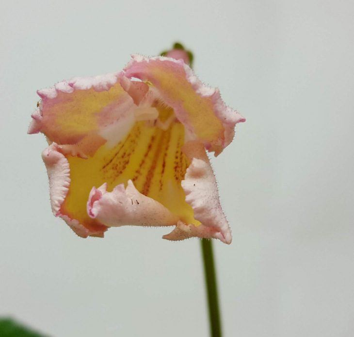 image1.jpg