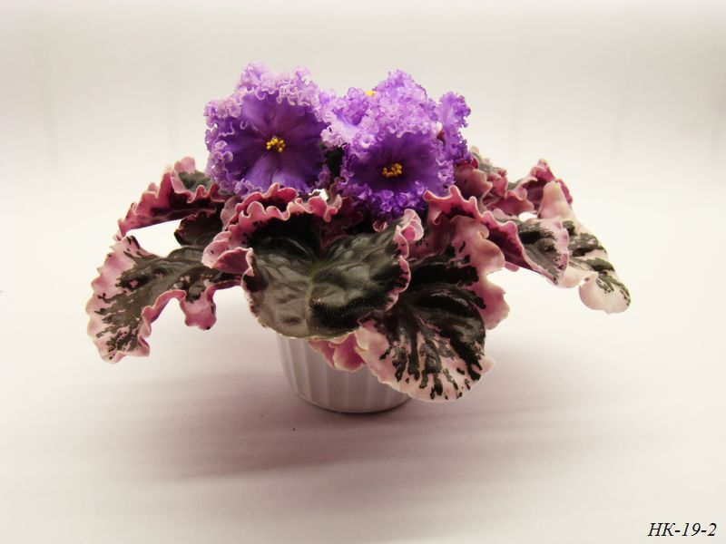 DSC03297 копия.jpg