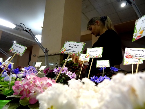 DSC05267.JPG