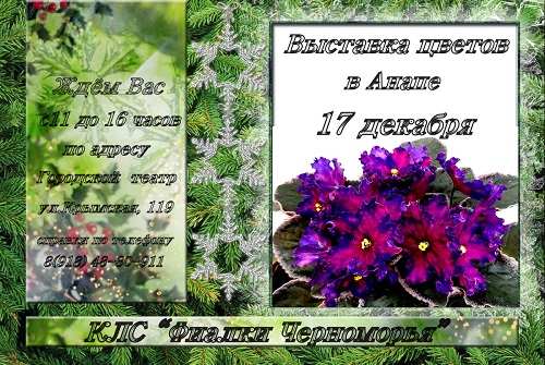 анапа декабрь — копия.jpg