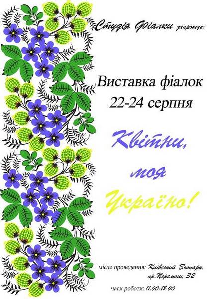 2224августа2.jpg