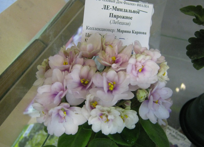 IMG_5837.JPG
