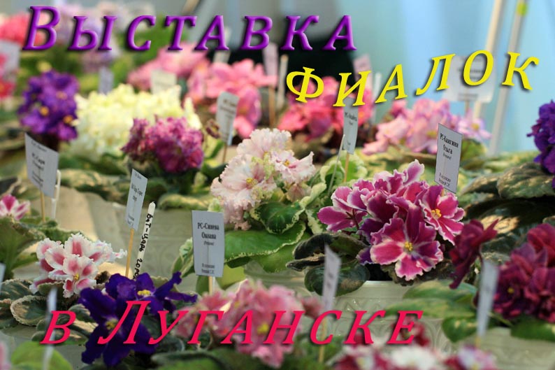 выст фиал IMG_0461 копия.jpg