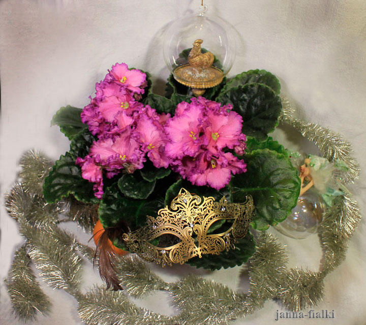 ЛЕ-Аллочка.jpg