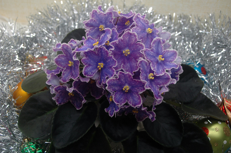 DS-Изюм.jpg