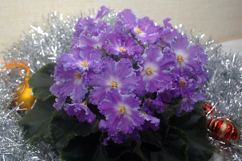 ЛЕ-Долина-Грез.jpg