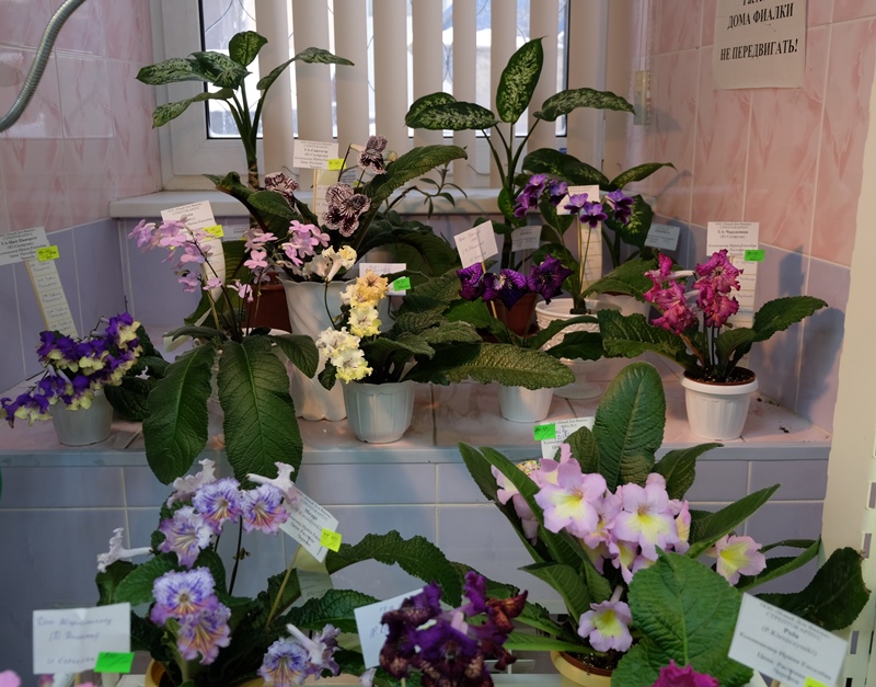DSCF8636.JPG