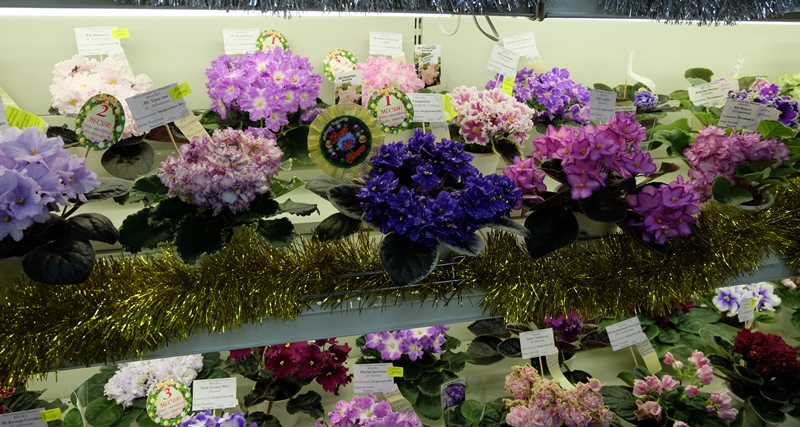 DSCF8673.JPG
