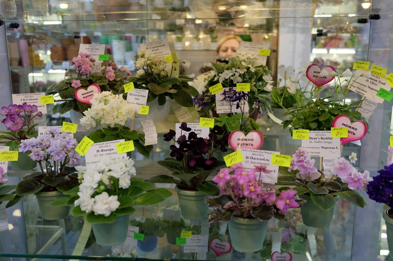 DSCF8720.JPG