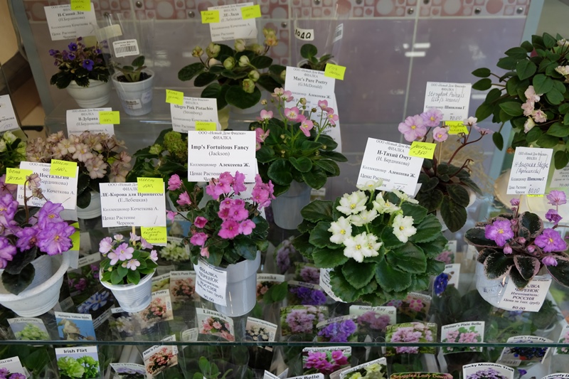 DSCF8735.JPG