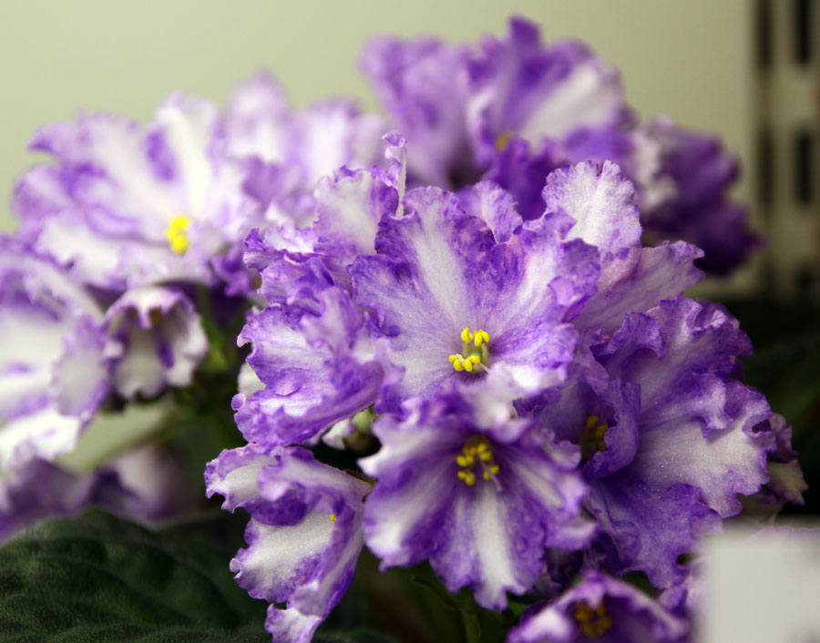 К-Пробуждение