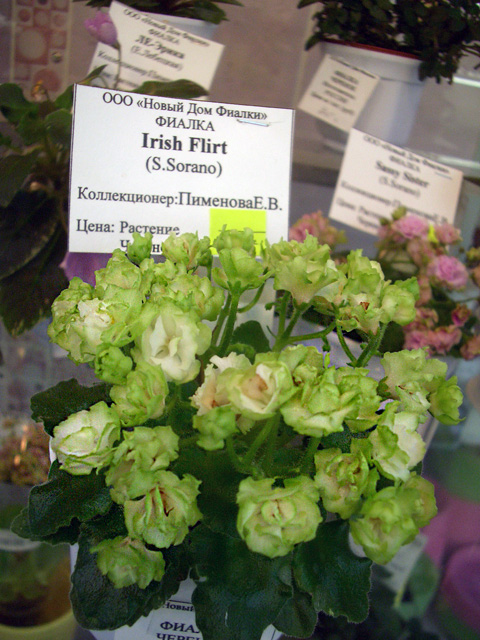 CIMG0125.JPG