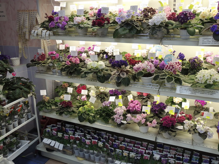 DSCN3261.JPG