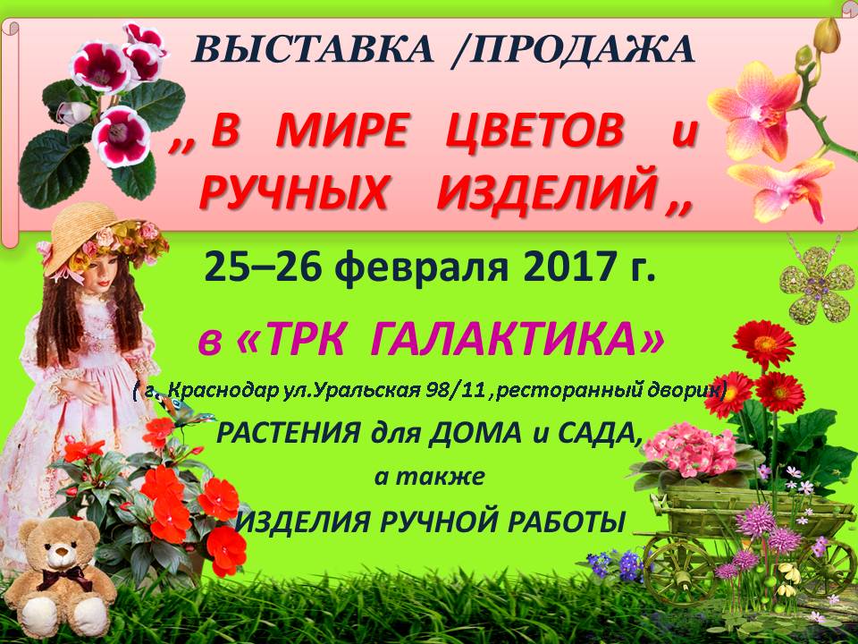 Da1cLMIyK70.jpg