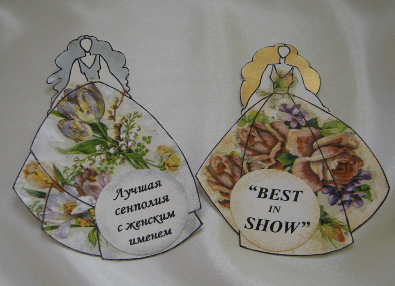BEST in SHOW и Лучшая фиалка с женским именем.JPG
