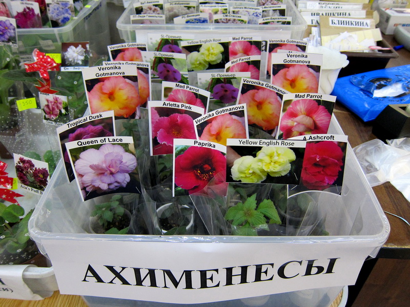 IMG_6601.JPG