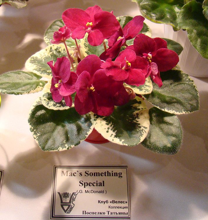 DSC04647.JPG