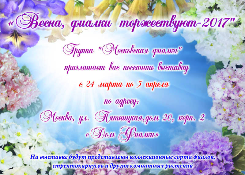 АФИША+.jpg
