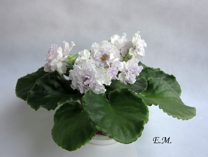 ЛЕ-Пломбир-с-Черникой.jpg