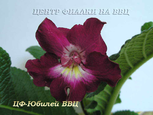 ЦФ-Юбилей ВВЦ