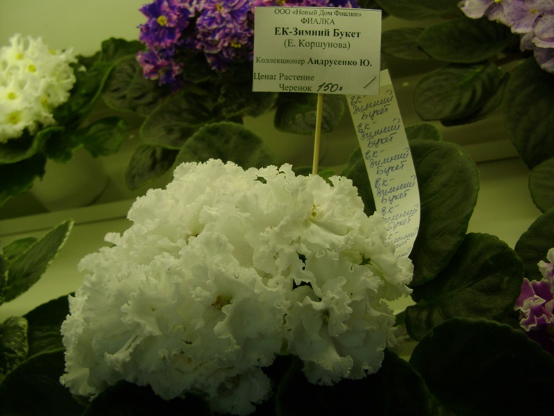 DSC02888.JPG