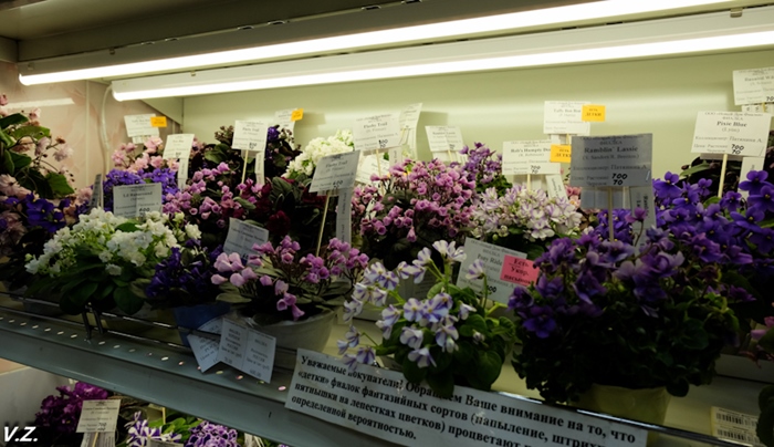 DSCF9625.jpg