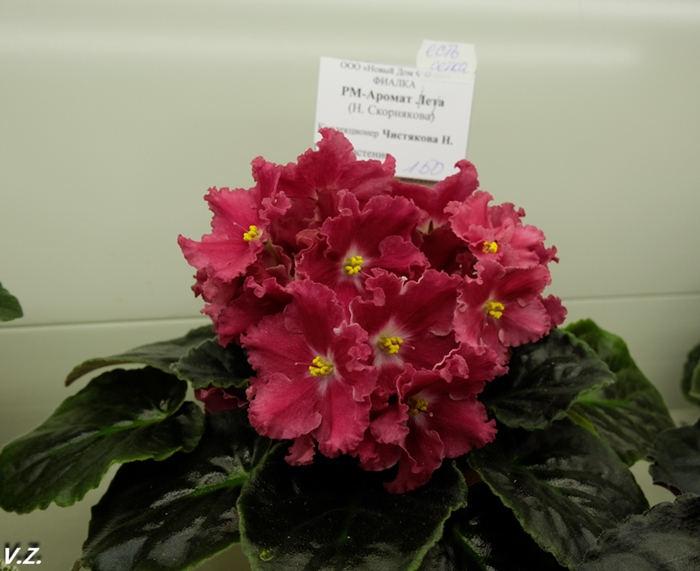 DSCF9618.jpg