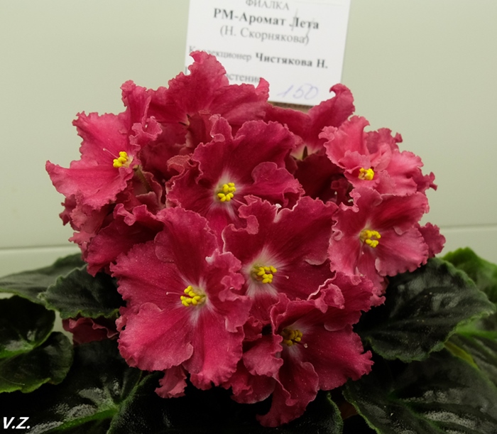 DSCF9619.jpg