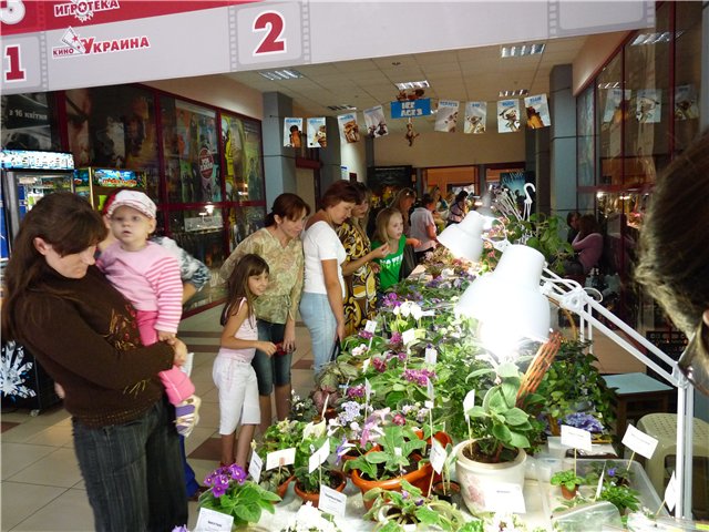 d2346c656adf.jpg