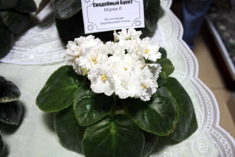 букет.jpg