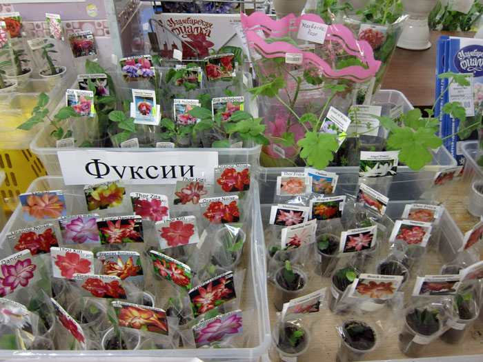 разное-5.jpg