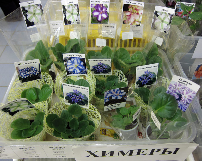 разное-4.jpg