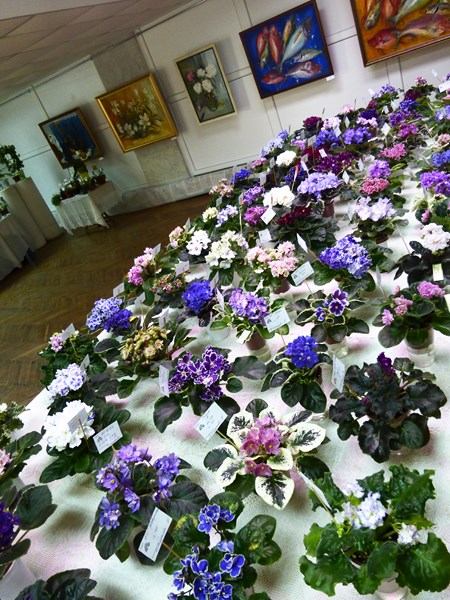 P1070410 (Copy).JPG