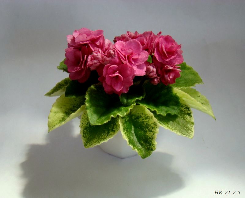 DSC02395.JPG