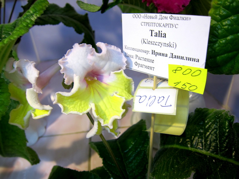 IMG_0896.JPG