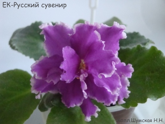 ЕК-Руск сув.jpg