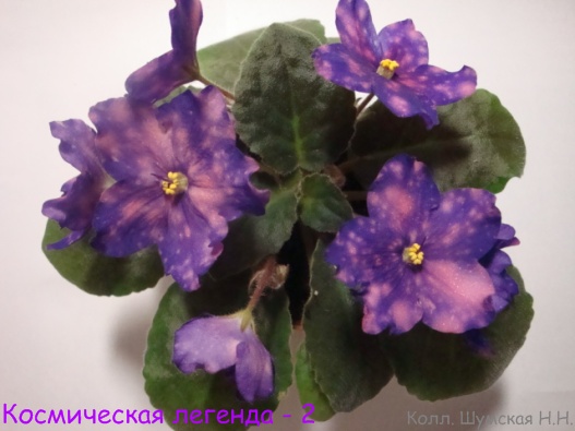 Косми леге-2.jpg