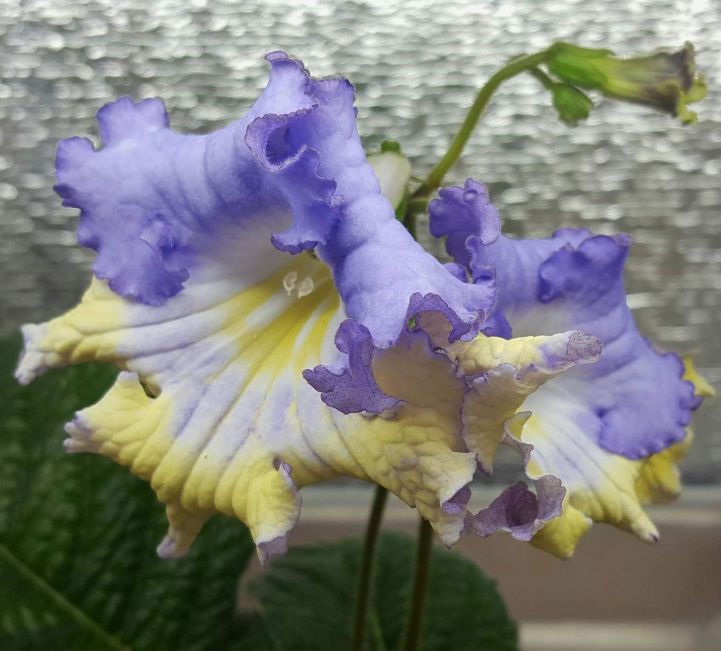 image15.jpg