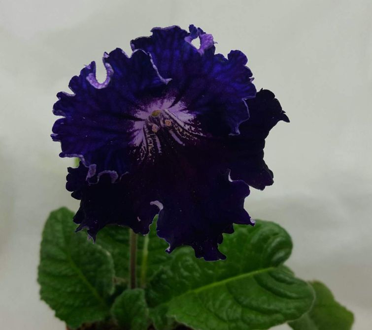 image22.jpg