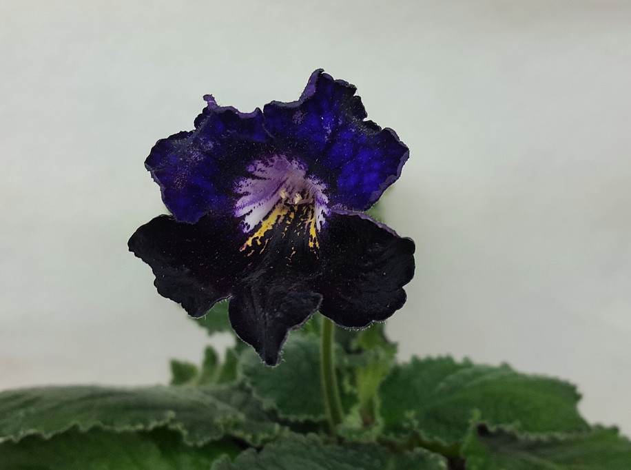 20170515_201241.jpg