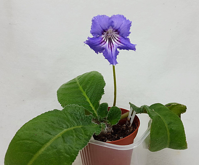 20170515_201241.jpg