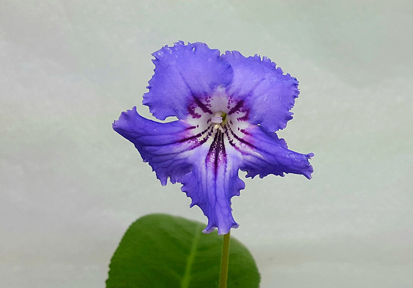 20170515_201241.jpg