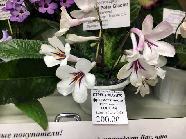 213#001.jpg