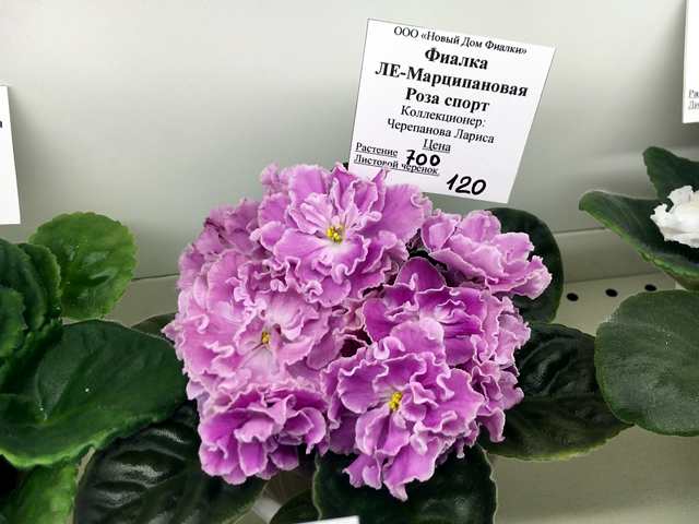 183#001.jpg