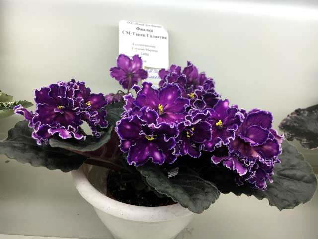 391#001.jpg