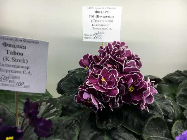 395#001.jpg