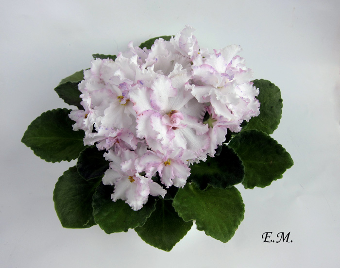 Ален-Северное-Сияние.jpg