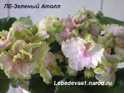 ЛЕ-Зеленый атолл (5) 20-20 текст.JPG